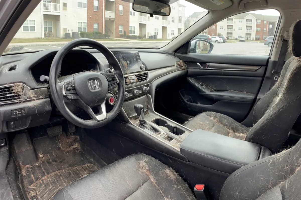 Dog Hair Removal — Honda Accord — before